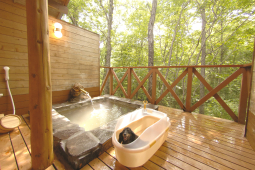 株式会社ユミィリゾート