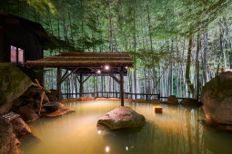 秘境　白川源泉　山荘　竹ふえ