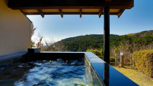 伊豆に創癒の隠れ郷 水生の庄