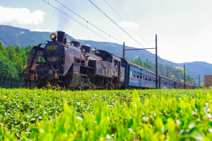 大井川鐵道　川根温泉ホテル