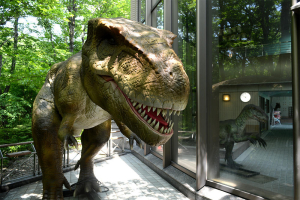 ホテルブランヴェール那須