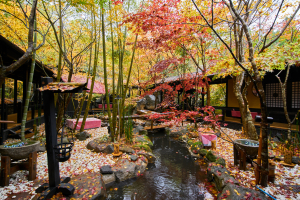 秘境　白川源泉　山荘　竹ふえ