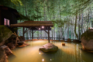 秘境　白川源泉　山荘　竹ふえ