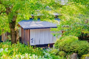 渓谷に佇む隠れ宿　峡泉