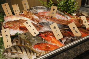 サン浦島　悠季の里