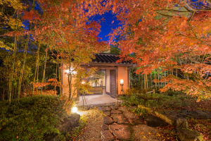 こころをなでる静寂　みやこ