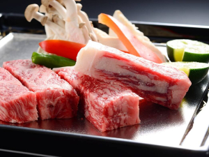 箱根藍瑠（あいる）