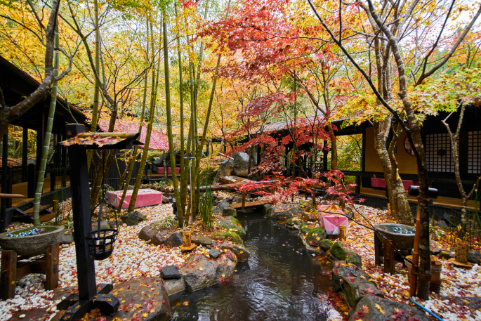 秘境　白川源泉　山荘　竹ふえ