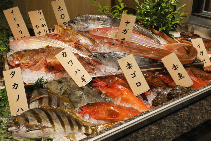 サン浦島　悠季の里