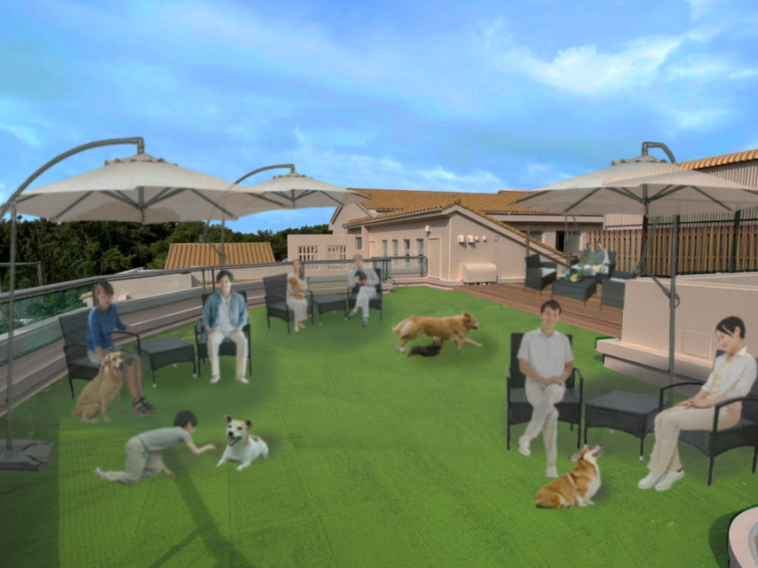 屋上テラス（イメージ）