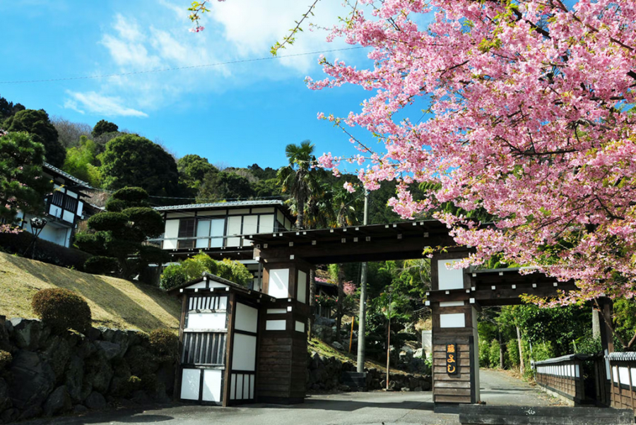 横浜藤よし伊豆店