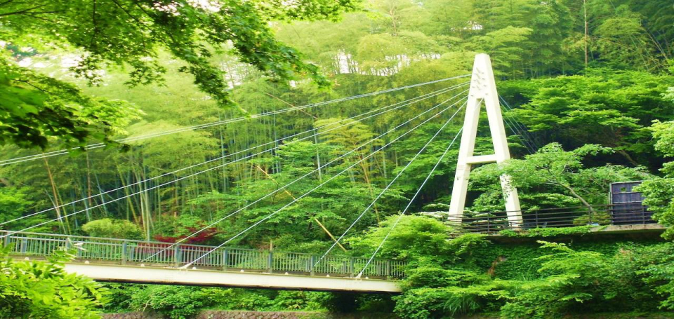 敷地内の吊橋