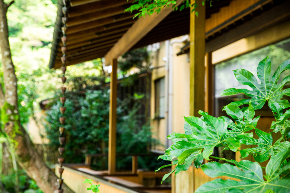 大自然に囲まれたゆったりとした環境です