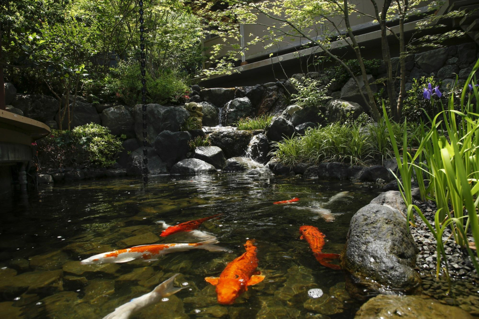 ダイニング庭園